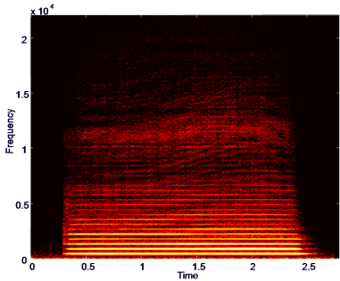 flute spectrum